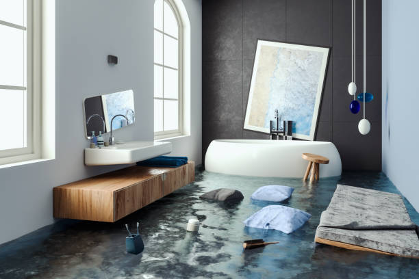 Best Water damage contractors near me  in Pine Lawn, MO