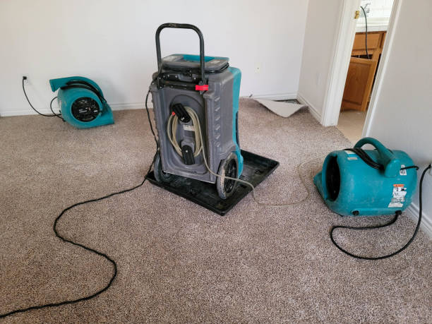 Fire Damage Restoration in Pine Lawn, MO
