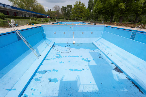 Best Professional water damage repair  in Pine Lawn, MO