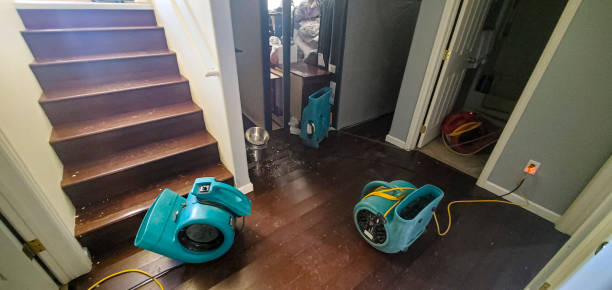 Best Ceiling water damage repair  in Pine Lawn, MO