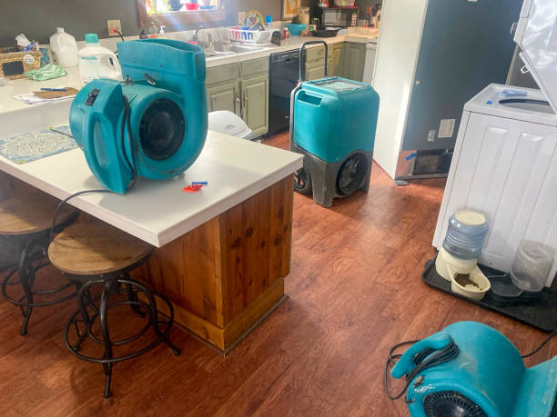 Best Water damage restoration process  in Pine Lawn, MO