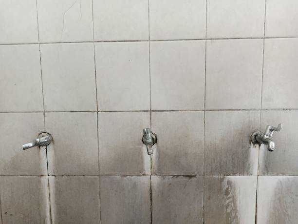 Best Carpet water damage restoration  in Pine Lawn, MO