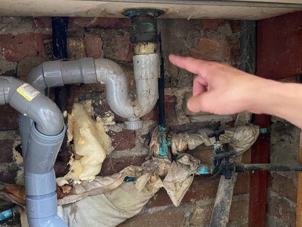 Pine Lawn, MO Water damage restoration Pros