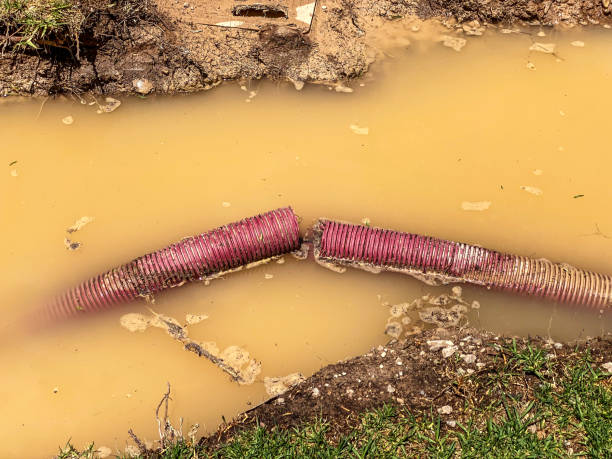 Carpet water damage restoration in Pine Lawn, MO