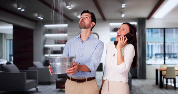 Best Commercial water damage restoration  in Pine Lawn, MO